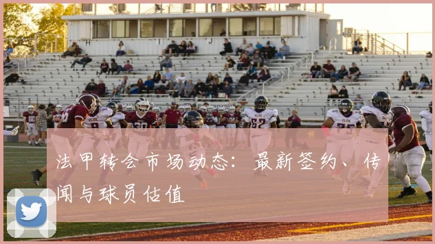 法甲转会市场动态：最新签约、传闻与球员估值