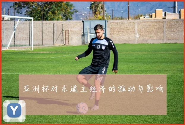 亚洲杯对东道主经济的推动与影响
